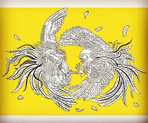 See more ideas about drawings, ink, ink drawing. FIGHTING ROOSTERS. 60CM X 40 CM. PEN AND INK ON PAPER ...