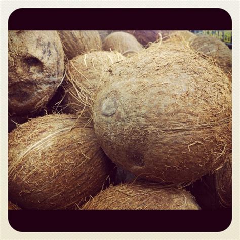 A Pile Of Coconuts Sitting Next To Each Other