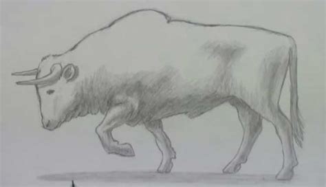 How To Draw A Bull Head Simply Easy And For Kids