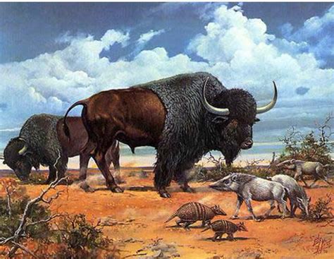 The Steppe Bison An Ancestor Of Modern Bison The Lived In The Steppe