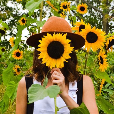 Torontos The Sunflower Farm Is Opening This Week And Its Stunning