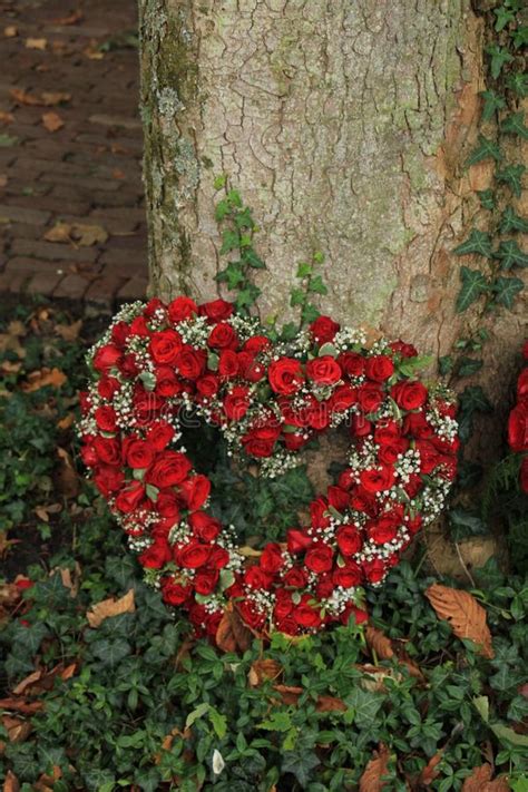 We did not find results for: Red Heart Shaped Sympathy Flowers Stock Photo - Image of ...