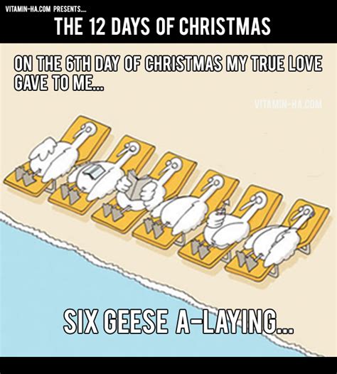 On The Sixth Day Of Christmas Funny 12 Days Of Christmas