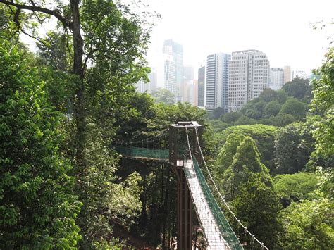 The cheapest way to get from kuala lumpur airport (kul) to bukit nanas costs only rm 13, and the quickest way takes just 41 mins. Nature gem within the city: What grows in the biodiversity ...