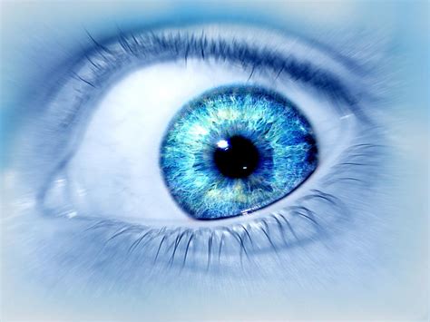 Hd Eyes Wallpaper ~ Latest Wallpapers Free Download