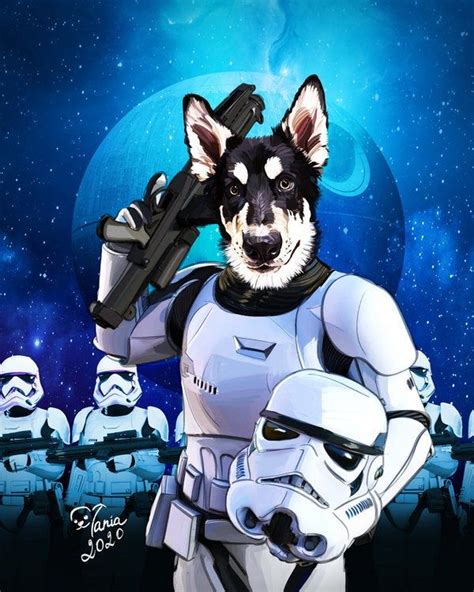 This is a us only initiative, we unfortunately will not be able to accept any. Stormtrooper armor Star wars costume Starwars dog digital ...