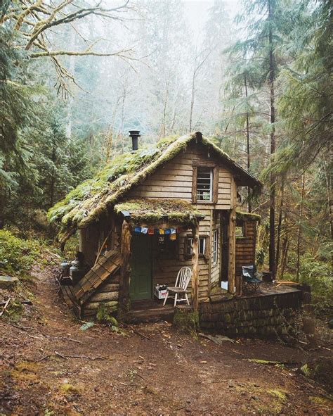 Hidden Cabin In The Woods Small Living Little Cabin Cabin Homes