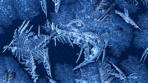 Frost Patterns Bing Wallpaper Download