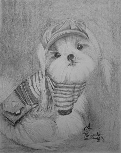 Cute Pencil Drawings Of Puppies