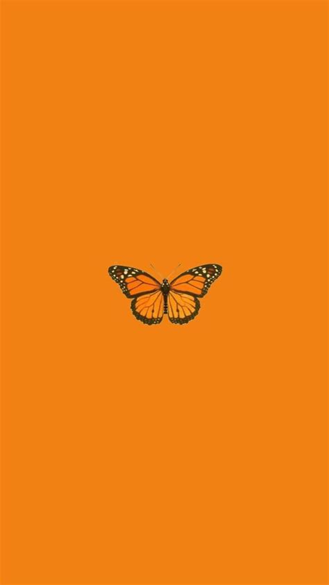 Butterfly Yellow Yellow Butterfly Aesthetic Hd Phone Wallpaper Pxfuel