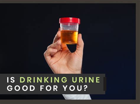 Is It Safe To Drink Urine Does Urine Have Any Health Benefits