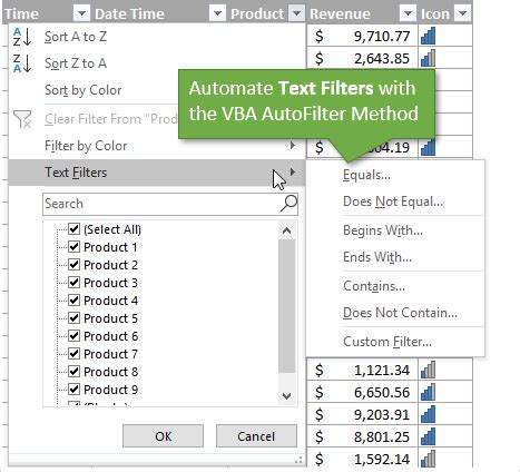 How To Filter For Text With Vba Macros In Excel Excel Campus