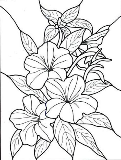 Dibujos Para Colorear De Flores Exoticas M S Flower Coloring Sheets Printable Flower Coloring