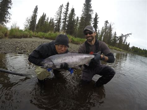 3 day guided alaska fishing packages (package 1) enjoy 3 days of great guided fishing on the kenai river. Kenai River Fishing Guide - Salmon Trout
