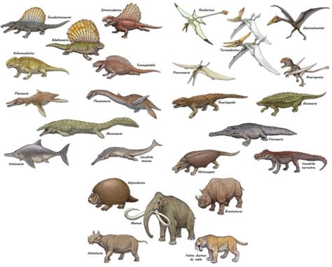 Imágenes De Nombres De Dinosaurios Imágenes