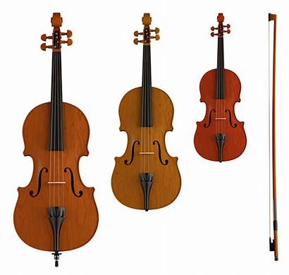 Bass Violin Viola Double Upright String Stand
