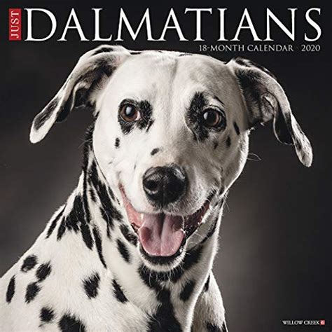 Compare Price Dalmatian Press Calendar On