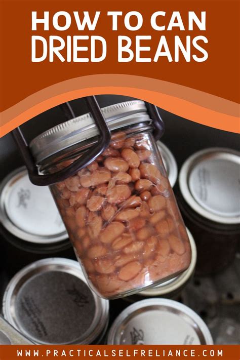 canning beans how to can dry beans at home recipe canning beans pressure canning recipes