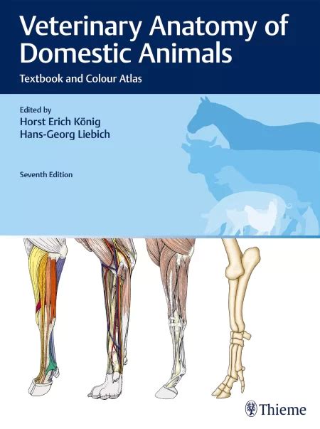 Illustrated Veterinary Anatomical Nomenclature Εκδόσεις Κωνσταντάρας