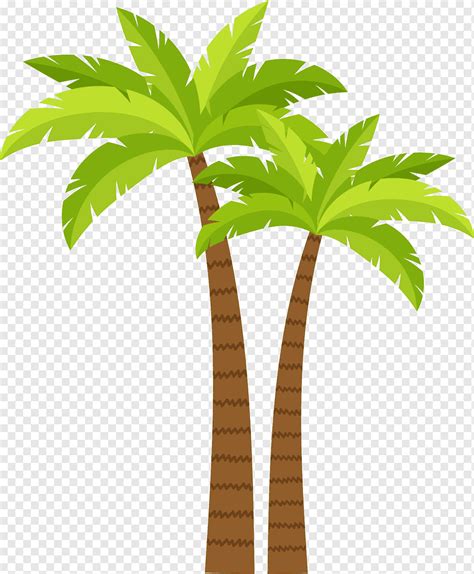 Coconut Tree Cartoon Green Coconut Tree Cartoon Transparent Png