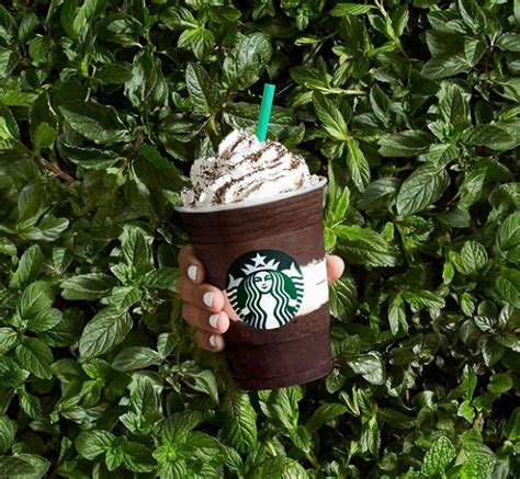 Starbucks Ofrece 10 Mdd Por Diseño De Vaso Ecológico Campeche Hoy