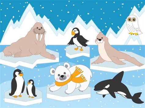 Arctic Animals Clipart Digital Vector Arctic Winter Ice Etsy Polar