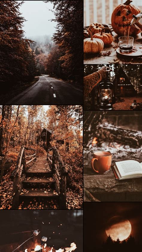 missing autumn so i made a moodboard pics all from pinterest การเดินป่า
