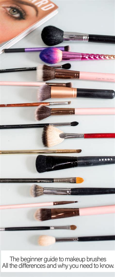 beginner makeup brush guide how are they different and why you should care