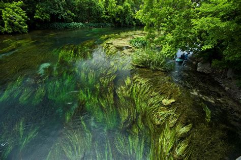 Flowers by julia san marcos tx. Elevation of Kyle, TX, USA - Topographic Map - Altitude Map