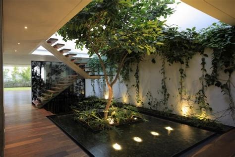 How To Create An Indoor Garden And Which Plants Are Suitable For It