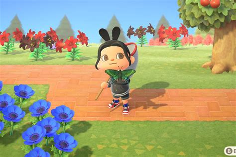 Acnh Bug List And All Animal Crossing Bug Guide Polygon