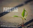 Quotes On Persistence And Determination - Marty Shaylyn