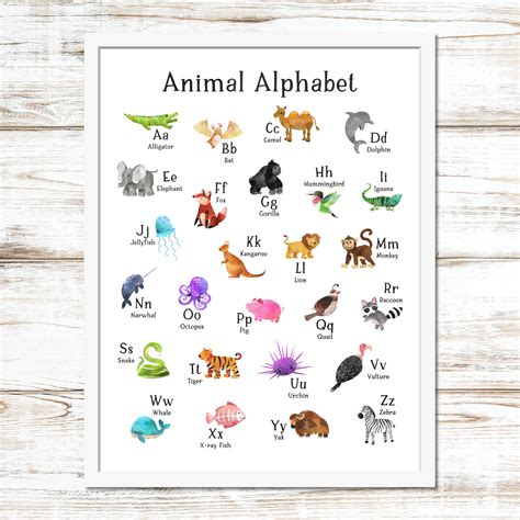 Animal Alphabet Ubicaciondepersonascdmxgobmx
