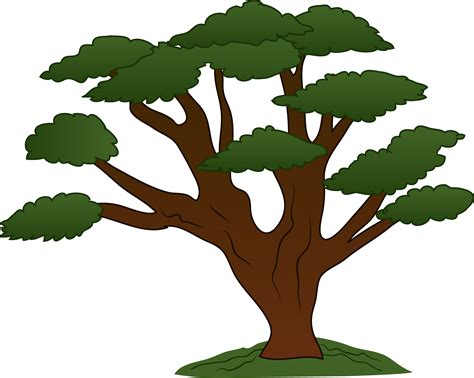 Oak Tree Cartoon