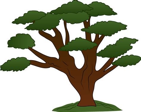 Free Trees Clipart Pictures Clipartix