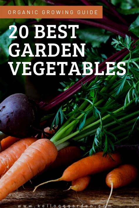 Top 20 Garden Vegetables To Grow Kellogg Garden Organics