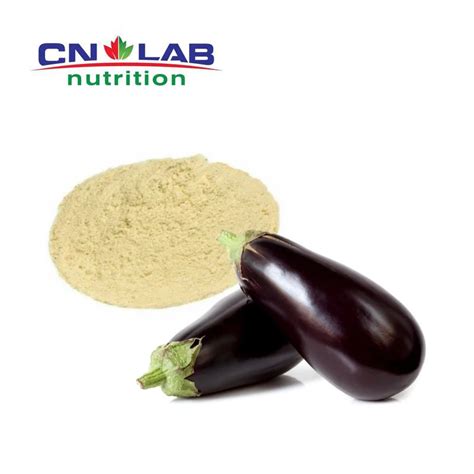 Natural Eggplant Powder Cancer Cure Eggplant Extract For Skin Cancer