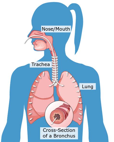 Shortness Of Breath Lung Health A Z Chest Foundation