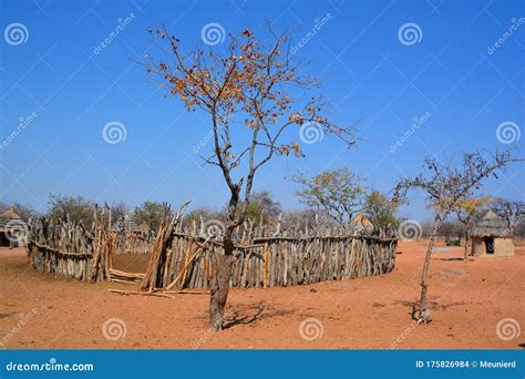 Traditional Wooden Kraal Or Enclosure Stock Photo Image Of Exterior