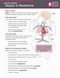 Sepsis in Newborns - NICU Parent Education Resources