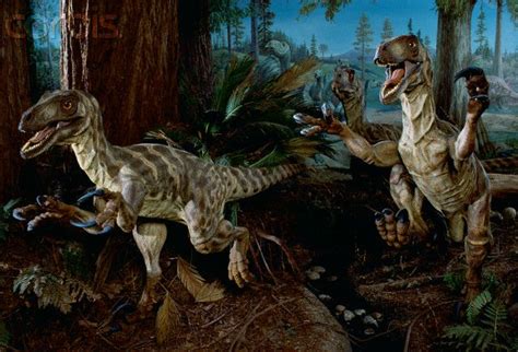 Raptors Museum Exhibition Jurassic Park World Natural
