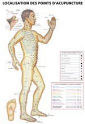 Illustré par des planches anatomiques d'une grande précision, ce livre est un atlas des points d'acupuncture mis en perspective avec les structures musculaires et squelettiques du corps. Planches de localisation des points d'acupuncture Set de 3 ...