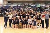 Volleyball - Teurlings Catholic High School