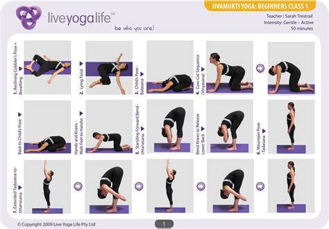 Hatha Yoga For Beginners Class 1 Live Yoga Life