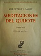 Por la calle de Alcalá: Meditaciones del Quijote. José Ortega y Gasset ...