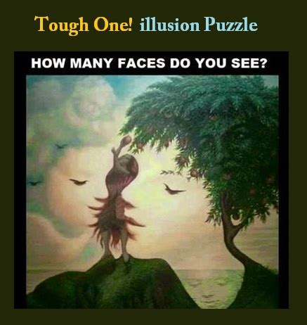 # of 4 by 4 squares = 1 # of 3 by 3 squares = 4 # of 2 by 2 squares = 9 # of 1 by 1 squares = 16 + 2 (in the middle) # of 1/2 by 1/2 squares = 8. Find Hidden FACES in the PICTURES? illusion PUZZLES