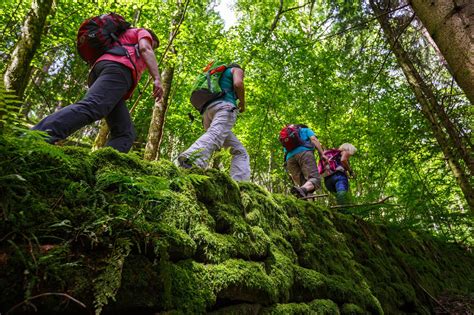 Wanderwege Im Schwarzwald Die Schönsten Touren Der Region