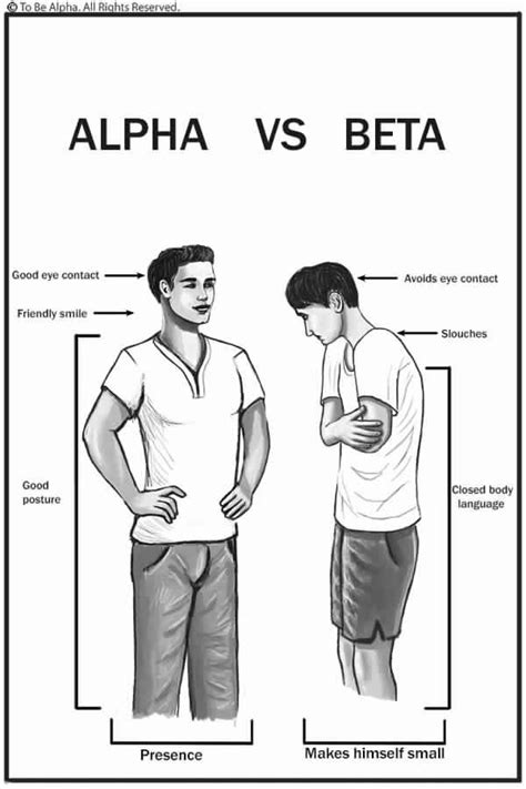 Alpha Vs Beta Social Classes Linguagem Corporal Macho Alfa