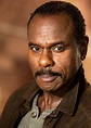 Steven Williams : biographie, carrière et filmographie | Hypnoweb