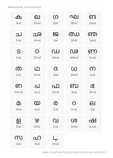 Malayalam Has 56 Letters 15 Vowels And 42 Consonants Letters
